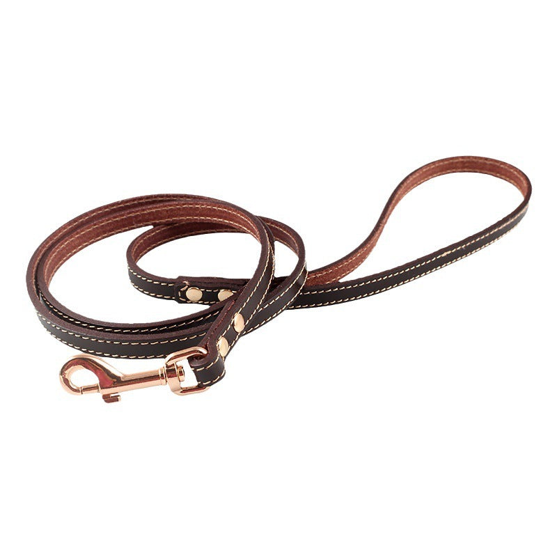 Hand Holding Rope Dog Chain