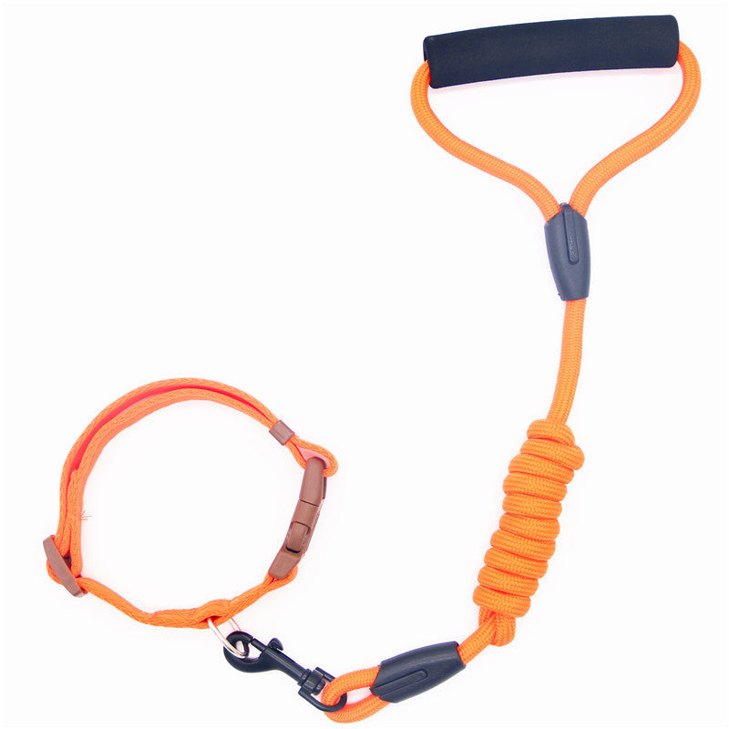 Leash Dog Collar