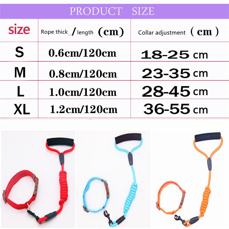 Leash Dog Collar
