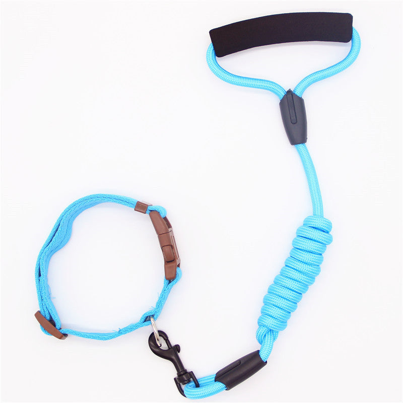 Leash Dog Collar