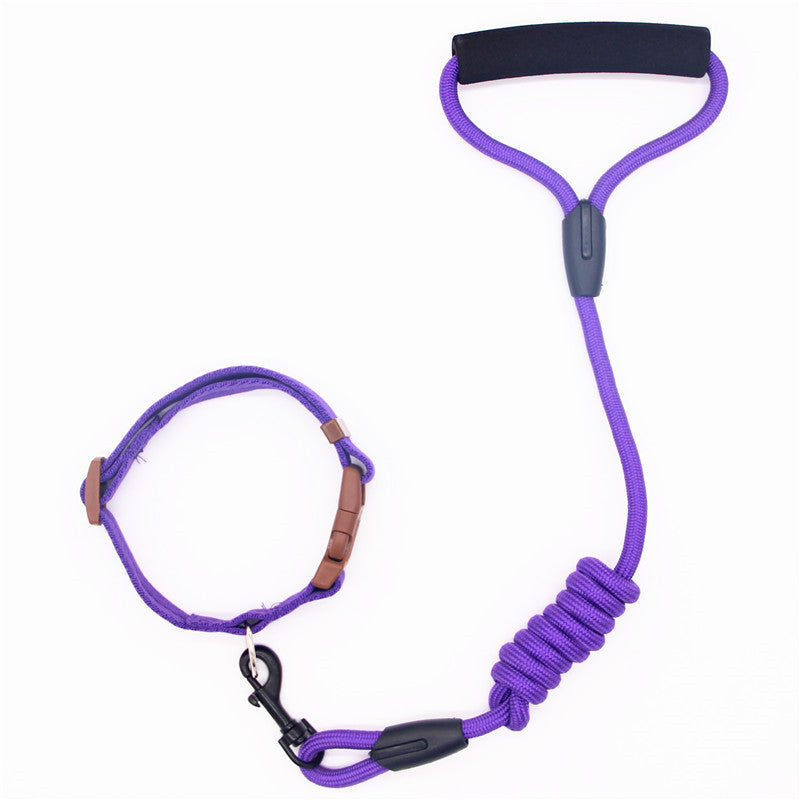 Leash Dog Collar
