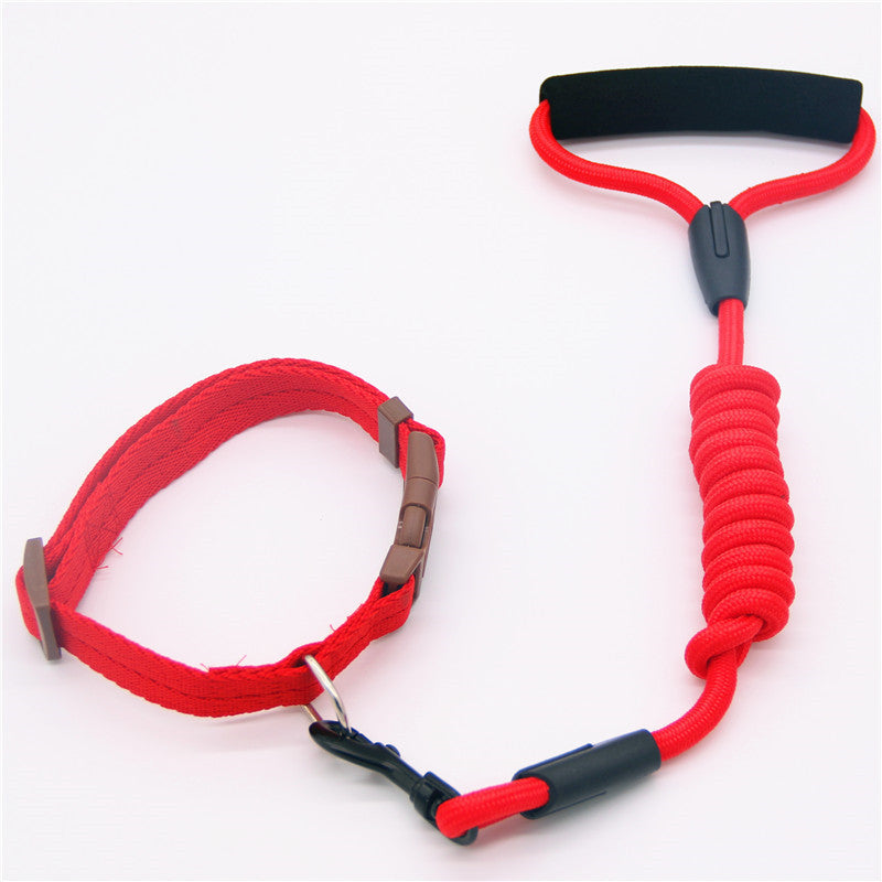 Leash Dog Collar