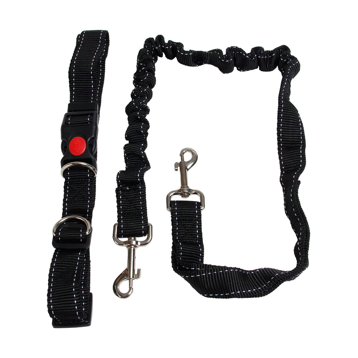 Dog Running Chain