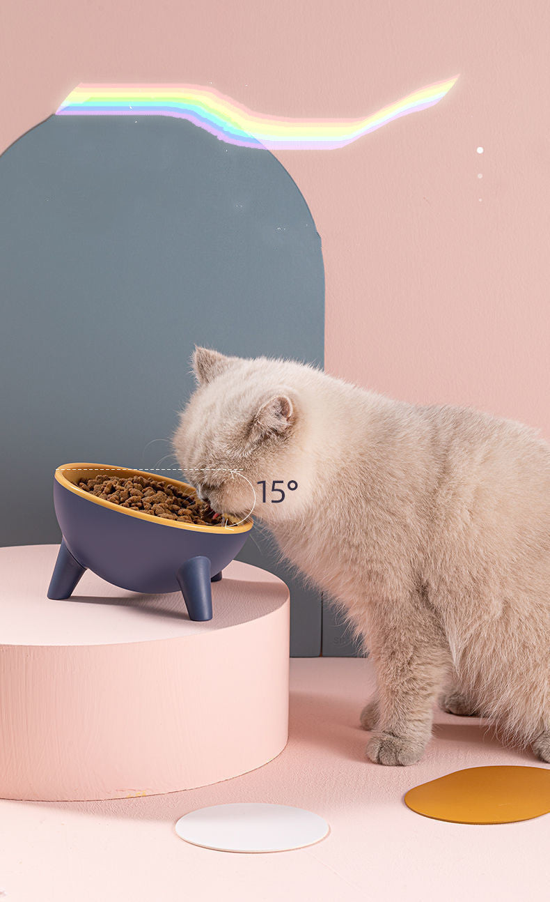 15° Tilted Cat Bowl – Protect Your Pet’s Health!