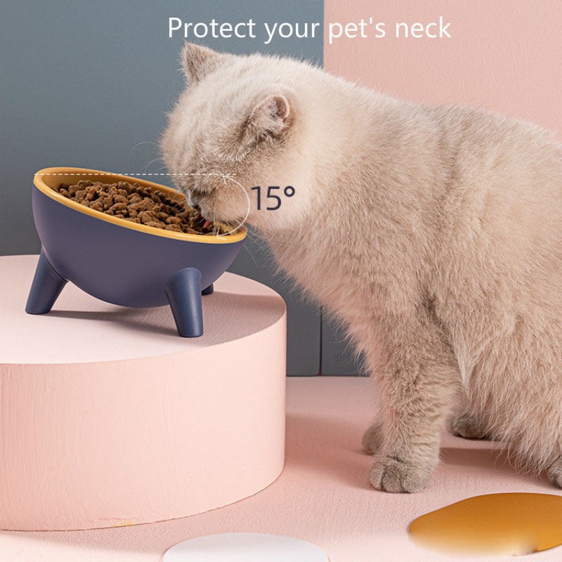 15° Tilted Cat Bowl – Protect Your Pet’s Health!