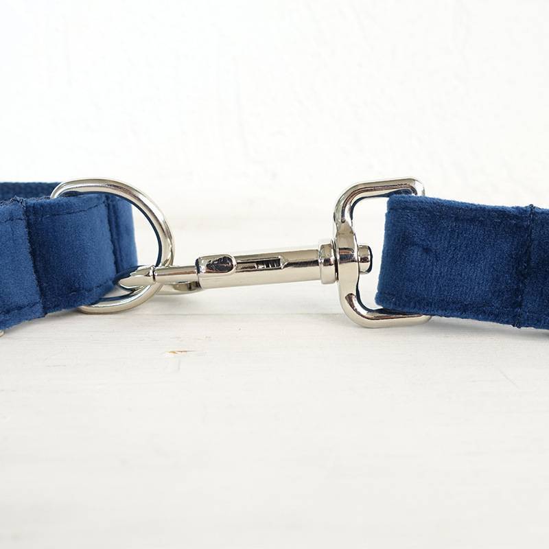Bow pet collar