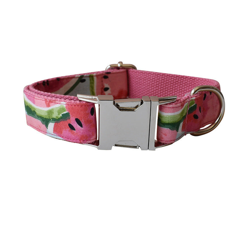 Dog Collar Pet Leash