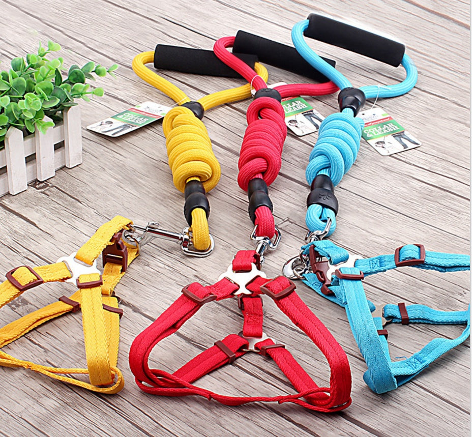 pet harness rope