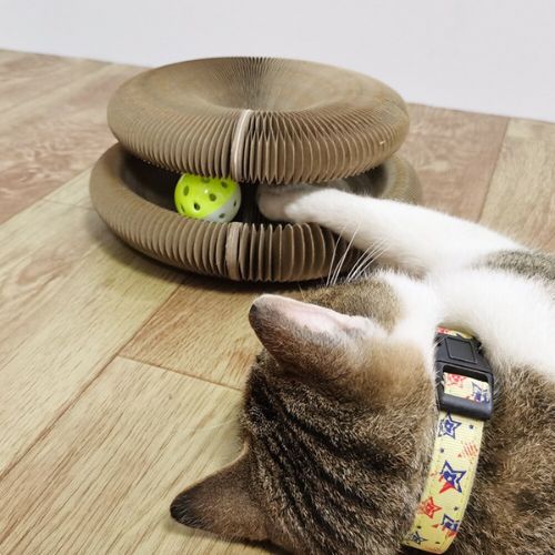 🧲 Magic Organ Cat Scratching Board – Foldable Corrugated Cardboard Cat Toy & Lounge