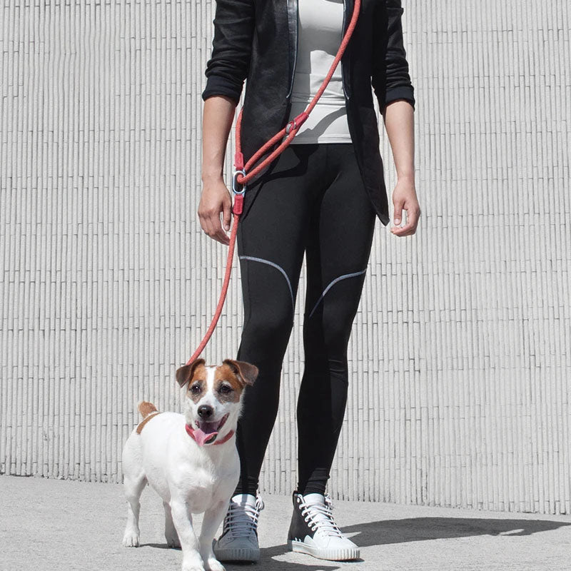 πΎ Reflective Nylon Dog Leash β Safety & Comfort for Every Walk! πΎ