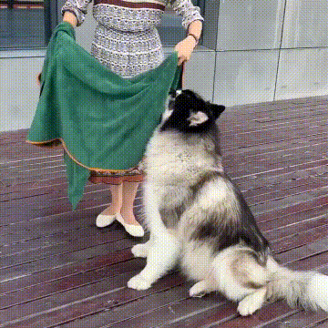 Quick-Dry Pet Bathrobe – Keep Your Pet Warm, Dry, and Comfortable