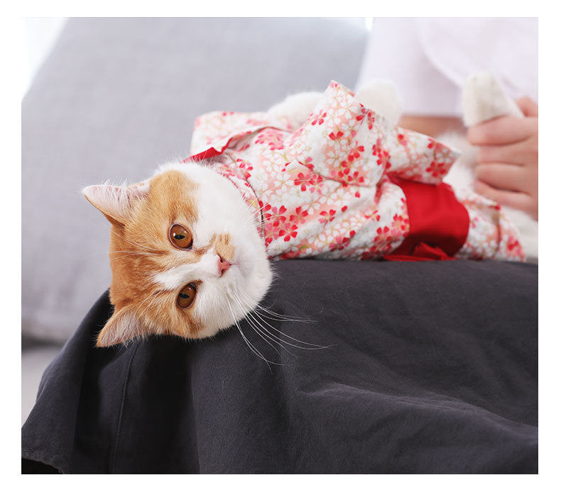 Japanese Style Pet Hanfu – Traditional Elegance for Your Furry Friend!
