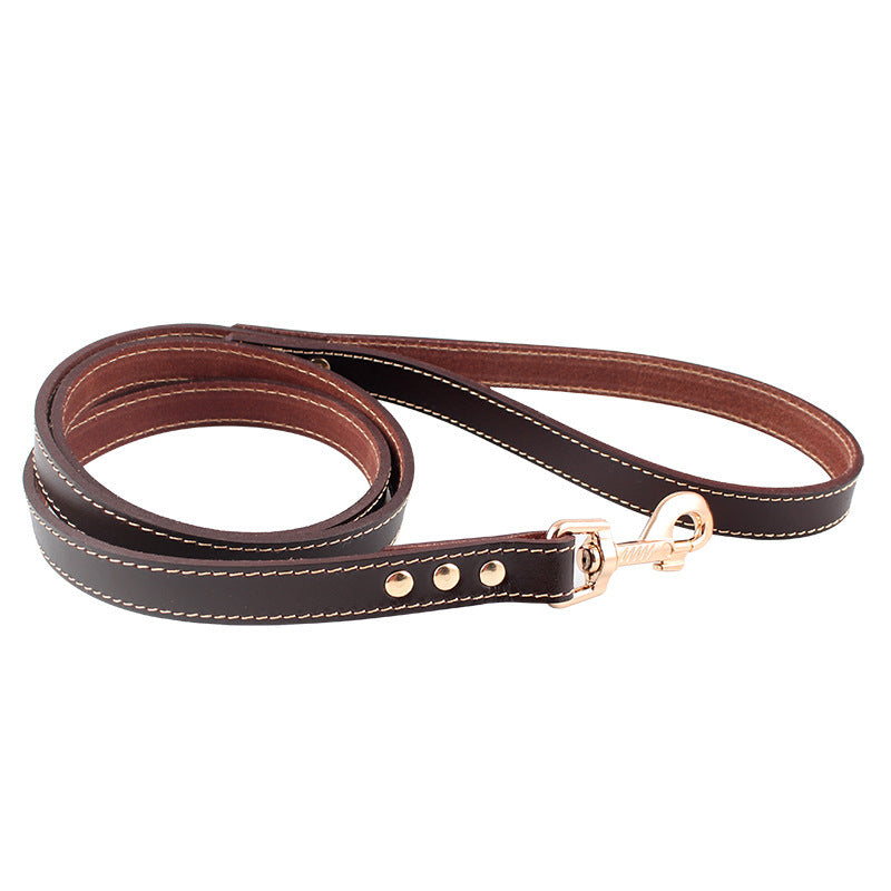 Hand Holding Rope Dog Chain
