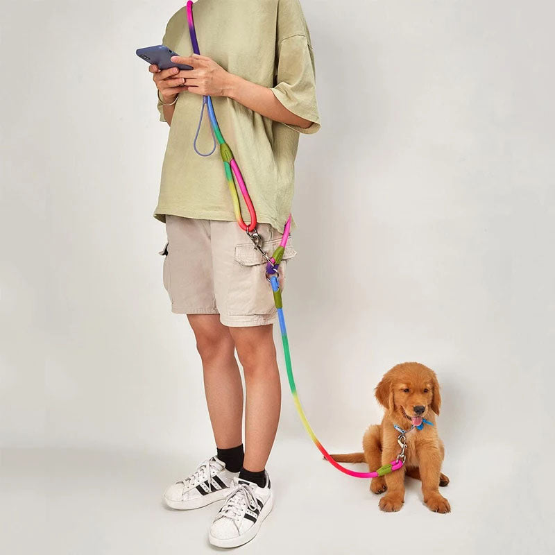 πΎ Reflective Nylon Dog Leash β Safety & Comfort for Every Walk! πΎ