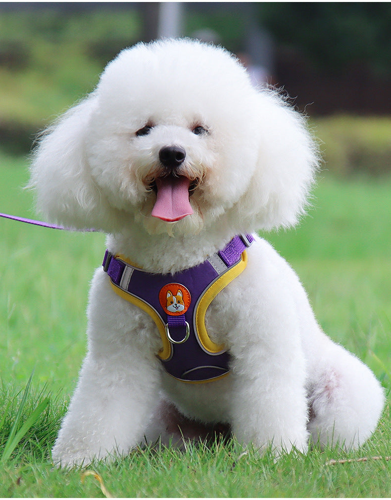 Soft & Comfortable Reflective Dog Harness with Leash