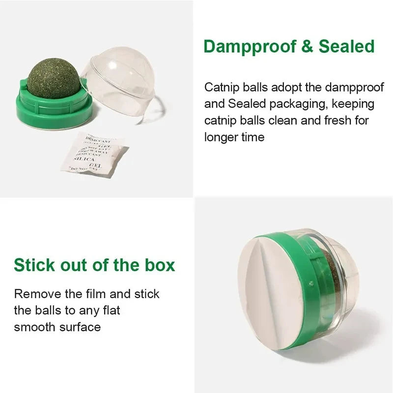 3 Pcs Catnip Balls for Cats – Wall-Mounted Interactive Cat Toys for Indoor Cats