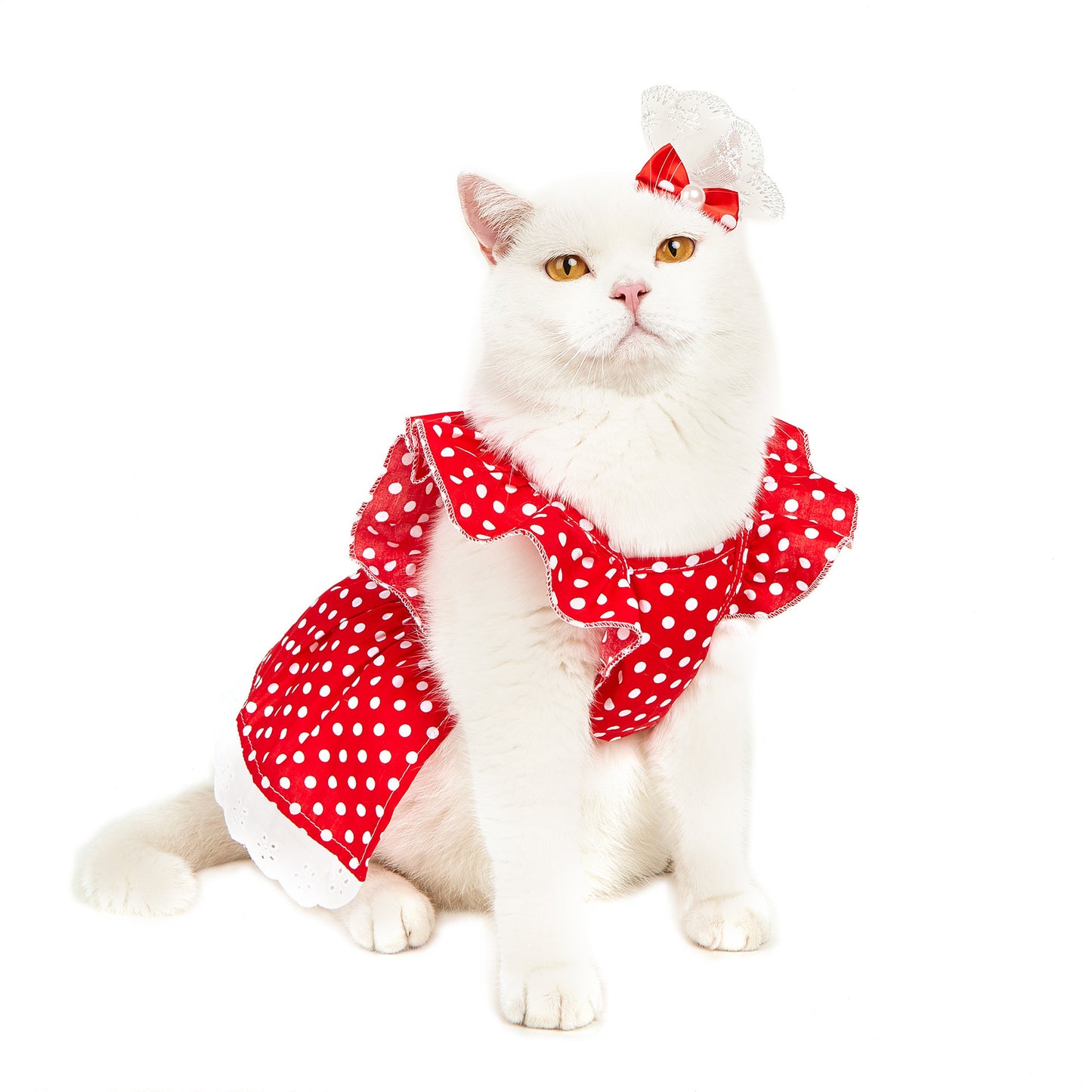 Polka Dot Pet Dress with Headband – Adorable & Stylish Outfit! ✨