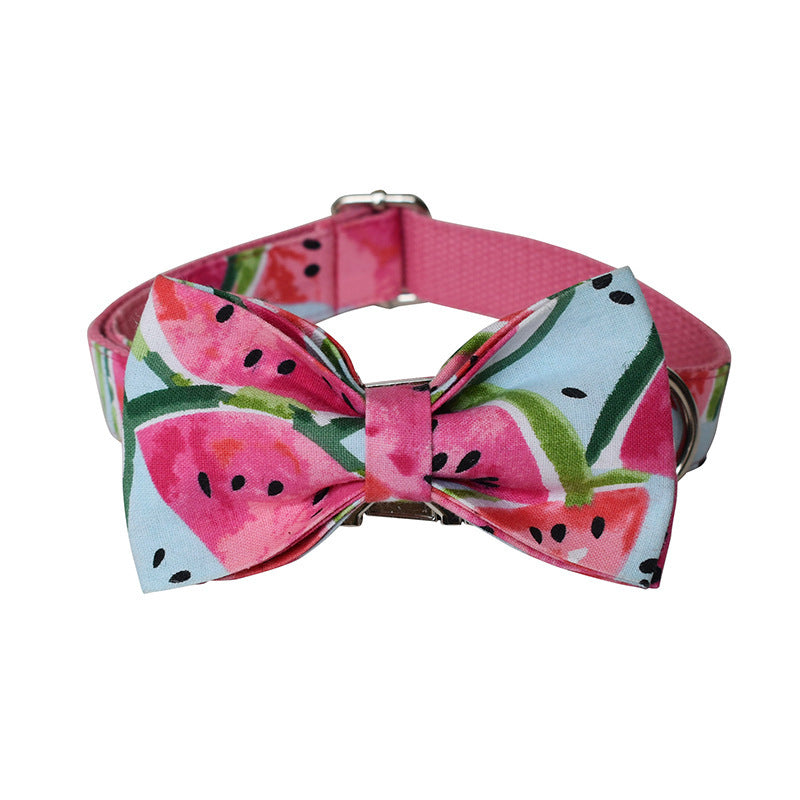 Dog Collar Pet Leash