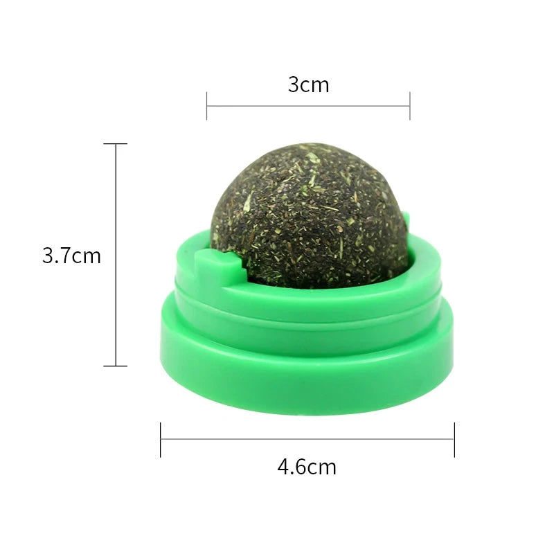 3 Pcs Catnip Balls for Cats – Wall-Mounted Interactive Cat Toys for Indoor Cats