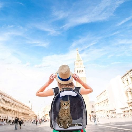 Transparent Capsule Pet Backpack – Travel in Style & Comfort!