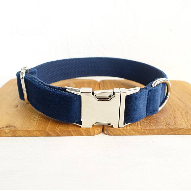Bow pet collar