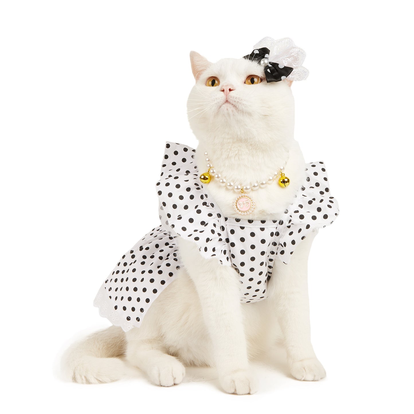 Polka Dot Pet Dress with Headband – Adorable & Stylish Outfit! ✨