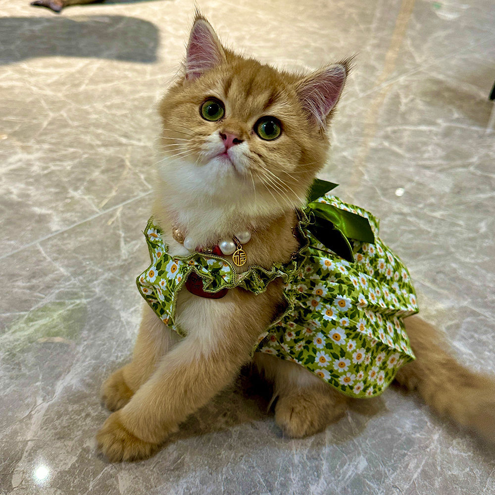 Suspender Princess Dress for Pets – Adorable & Elegant! ✨