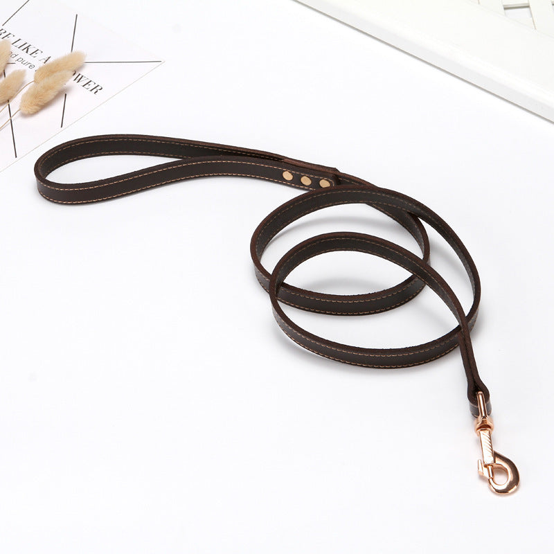 Hand Holding Rope Dog Chain