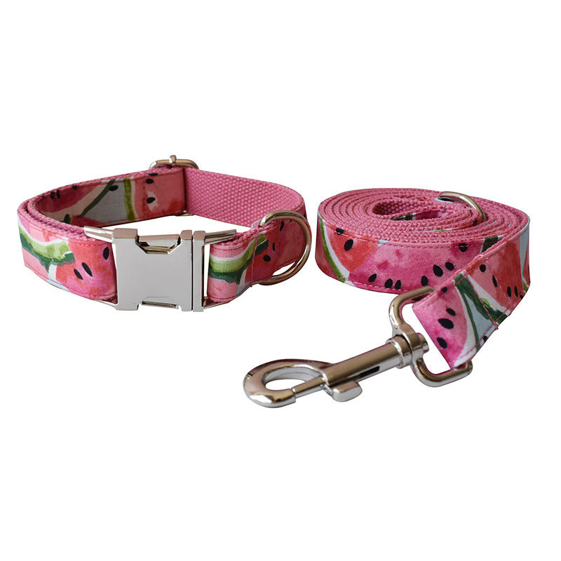 Dog Collar Pet Leash
