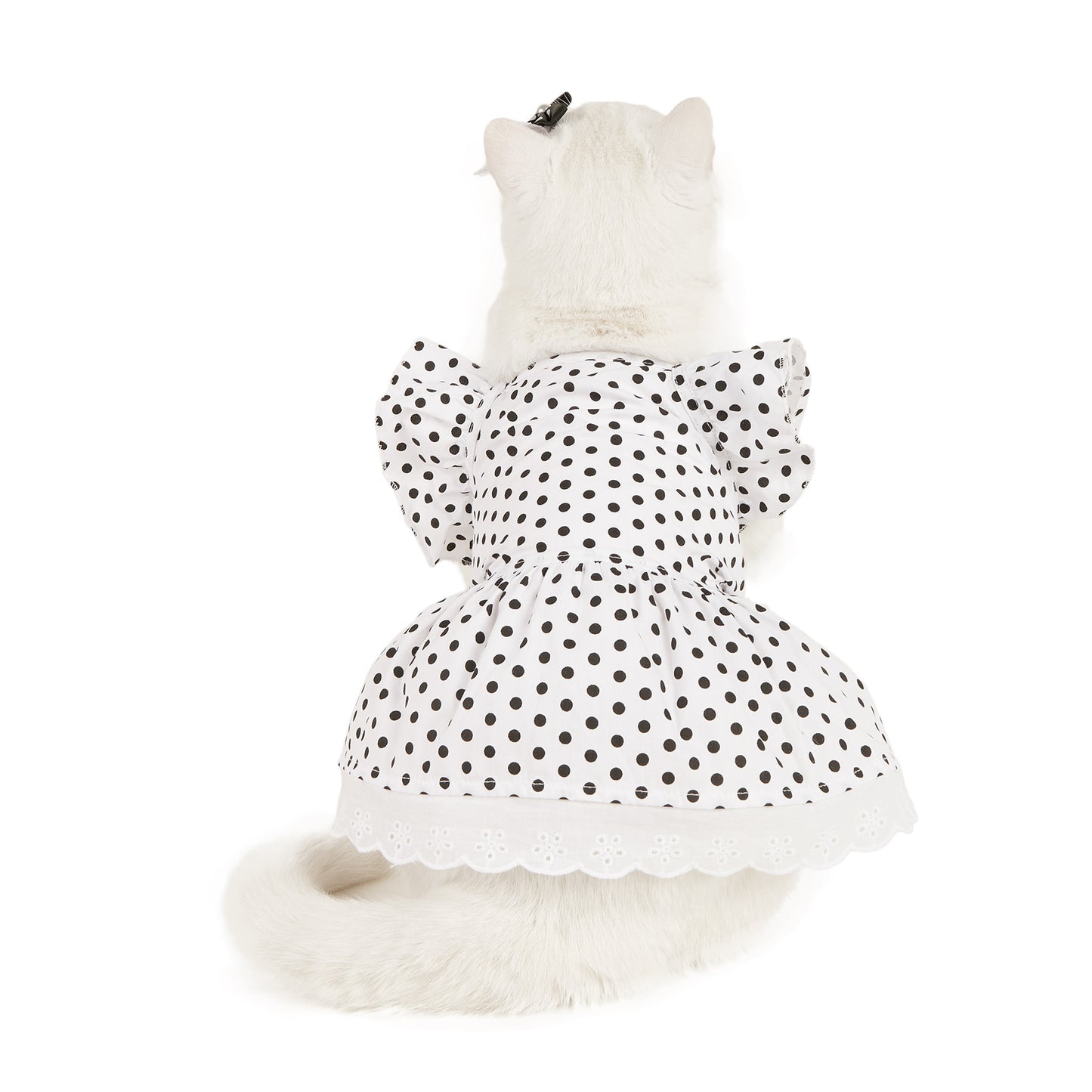 Polka Dot Pet Dress with Headband – Adorable & Stylish Outfit! ✨