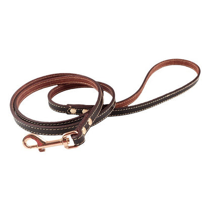 Hand Holding Rope Dog Chain