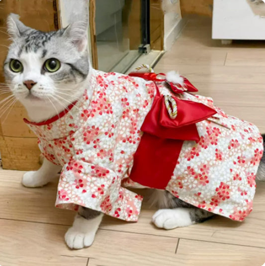 Japanese Style Pet Hanfu – Traditional Elegance for Your Furry Friend!