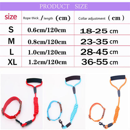Leash Dog Collar