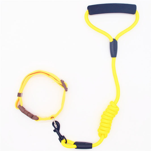 Leash Dog Collar
