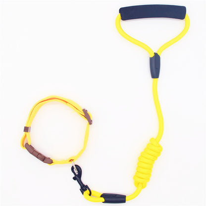 Leash Dog Collar