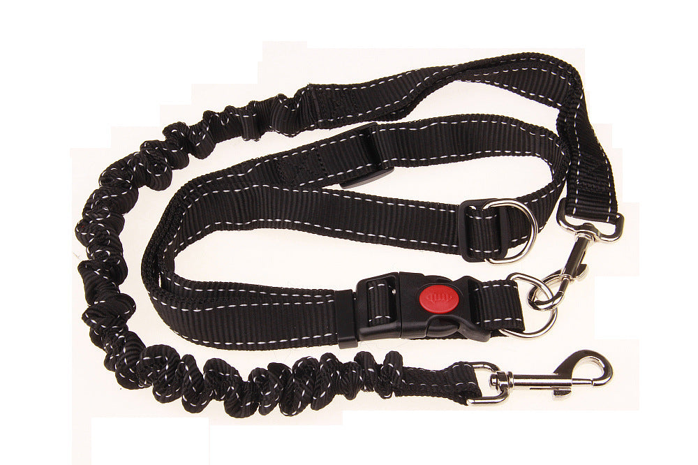 Dog Running Chain