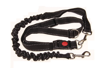 Dog Running Chain