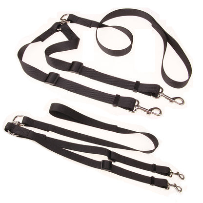 Dog Running Chain