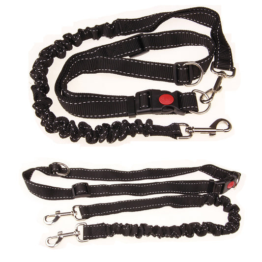 Dog Running Chain