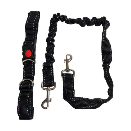 Dog Running Chain