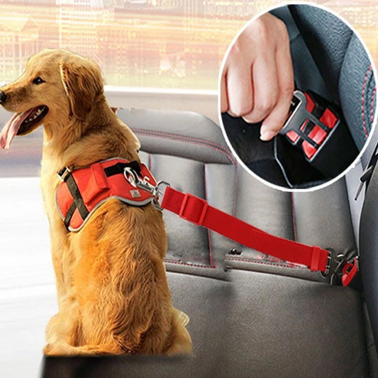 Pet Car Seatbelt – Keep Your Pet Safe While Traveling!