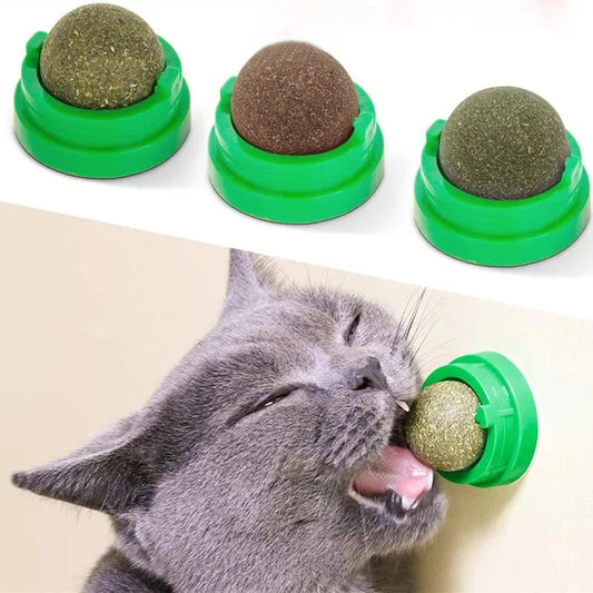 3 Pcs Catnip Balls for Cats – Wall-Mounted Interactive Cat Toys for Indoor Cats