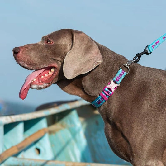 Chain Collar Explosion-proof