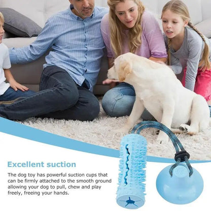 Dog Chew Ball Toys
