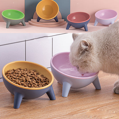 15° Tilted Cat Bowl – Protect Your Pet’s Health!