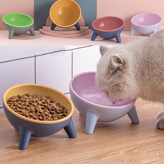 15° Tilted Cat Bowl – Protect Your Pet’s Health!