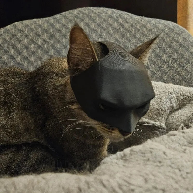 Bat Cat 3D-Printed Cosplay Mask
