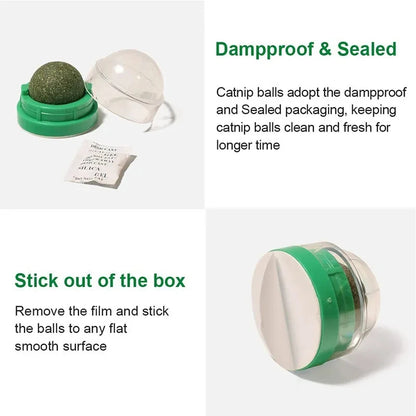 3 Pcs Catnip Balls for Cats – Wall-Mounted Interactive Cat Toys for Indoor Cats
