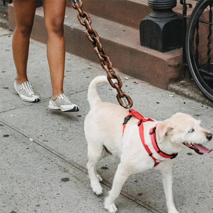 Funny Dog Chain Leash for Dogs & Cats