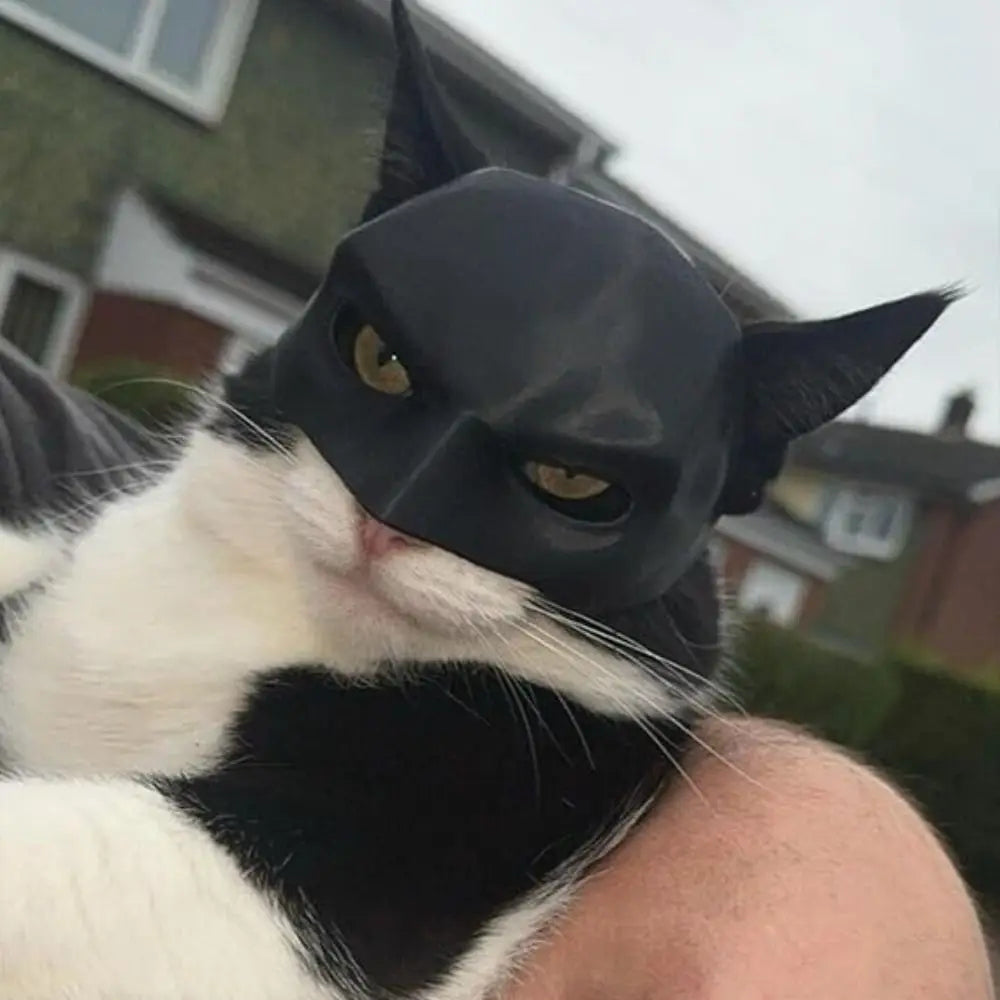 Bat Cat 3D-Printed Cosplay Mask